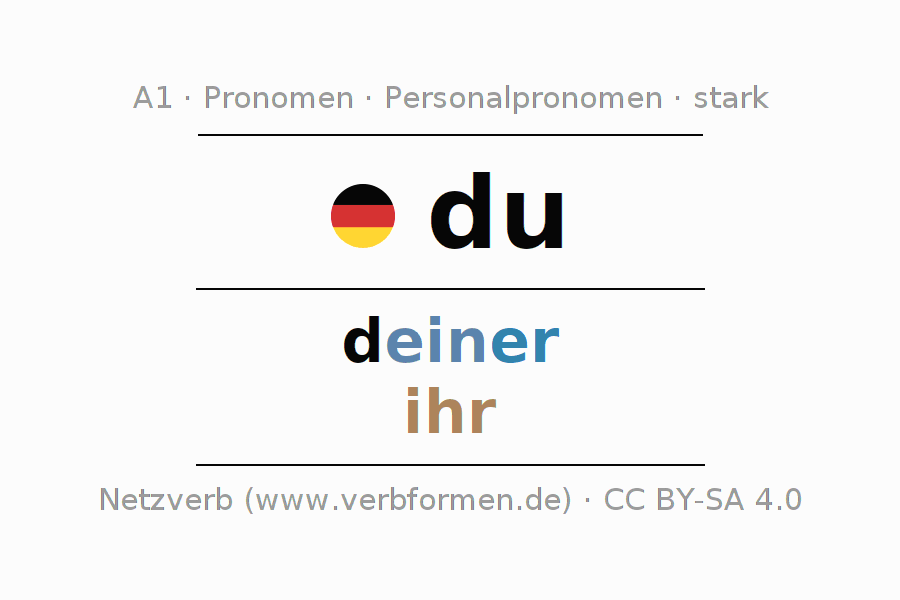 Deklination des Pronomens du mit Plural und Genus