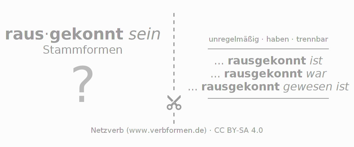 Lernkarten für die Konjugation des Verbs rauskönnen