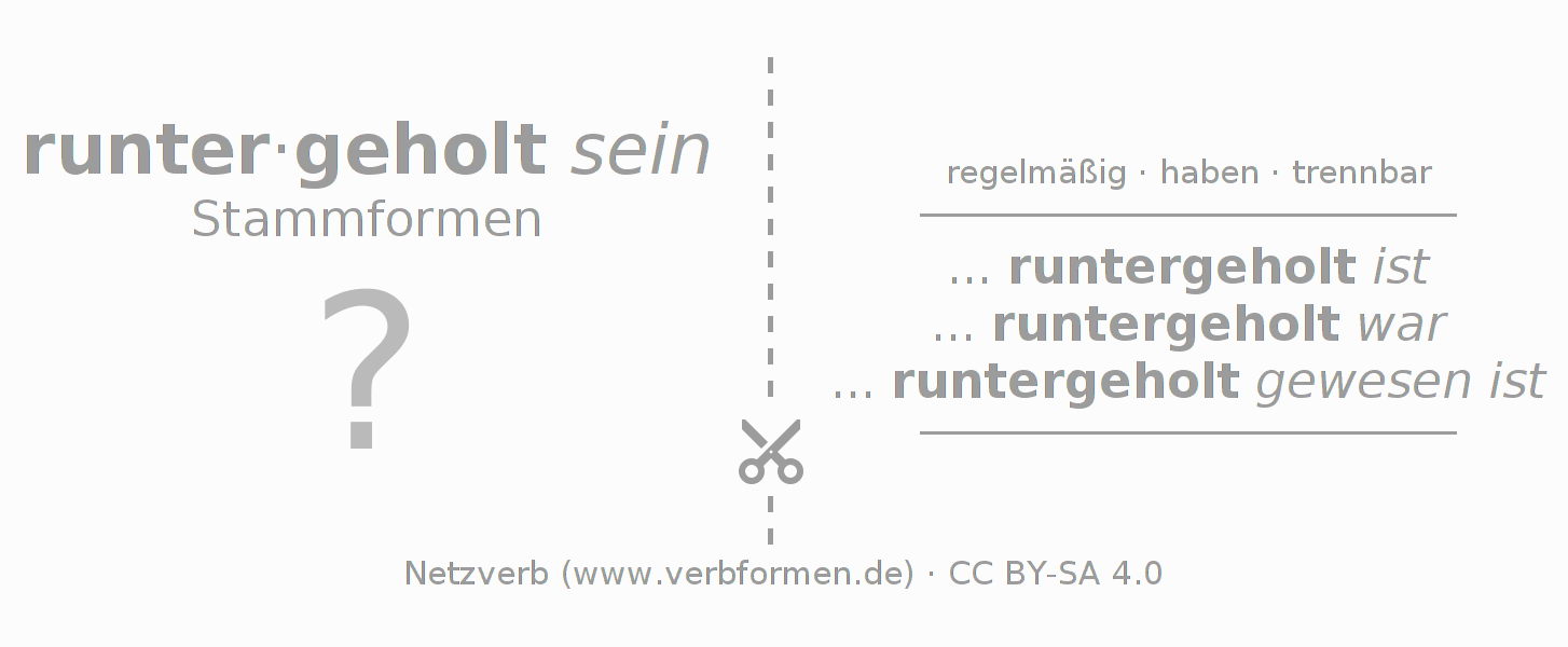 Lernkarten für die Konjugation des Verbs runterholen