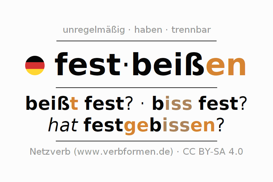 Konjugation des Verbs festbeißen