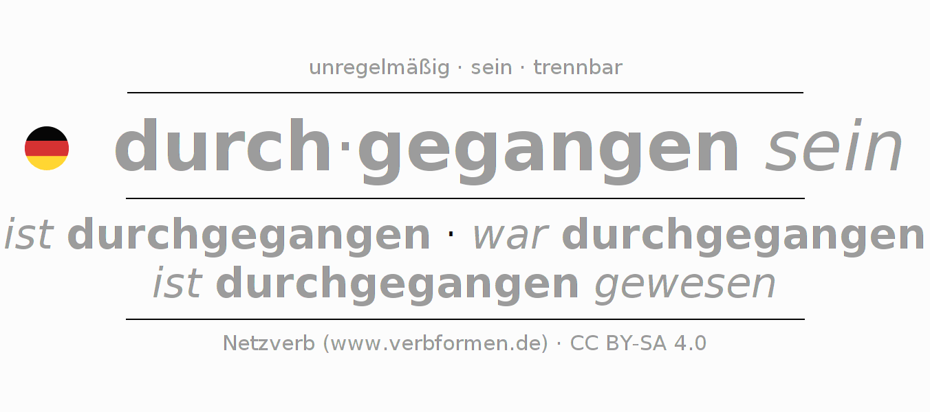 Konjugation des Verbs durch-gehen (ist)