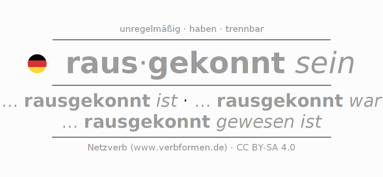 Konjugation des Verbs rauskönnen